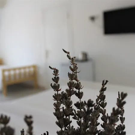 Villamer ベッド・アンド・ブレックファスト