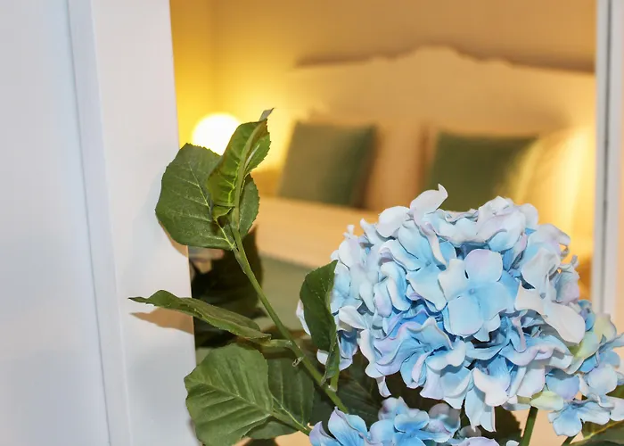 Oda ve Kahvaltı Villamer