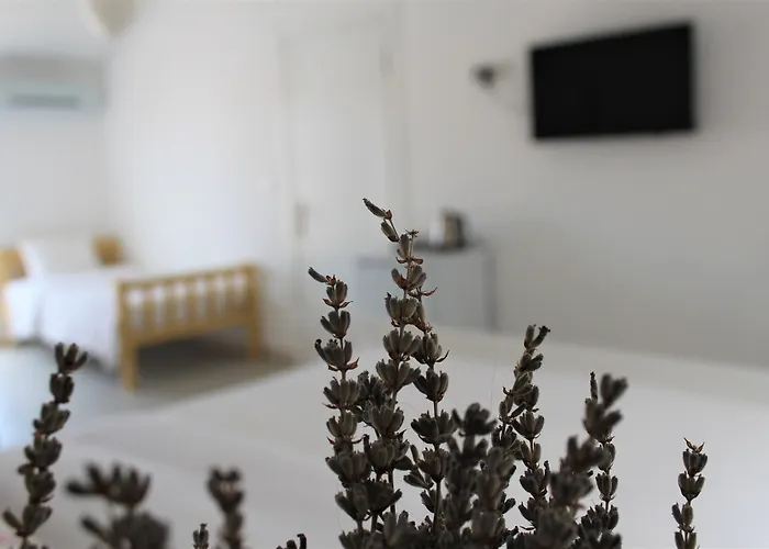 Villamer Oda ve Kahvaltı